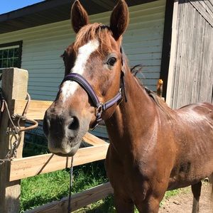 Meet your Posher, Jenna